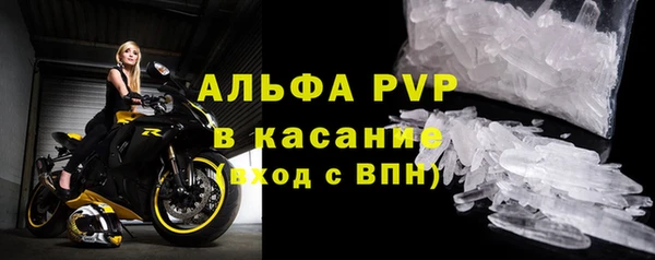 apvp Алзамай