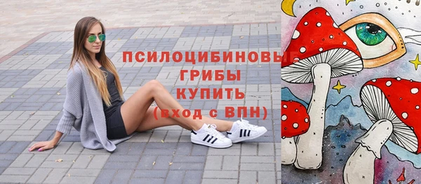 стаф Алексеевка