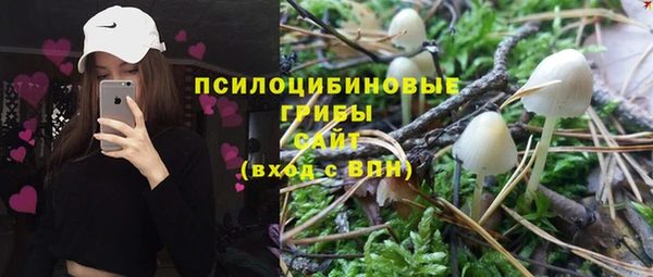 apvp Алзамай