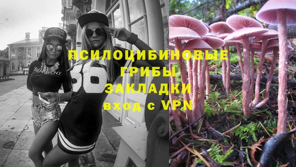 apvp Алзамай